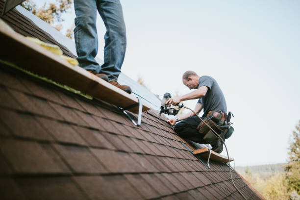 Residential Roof Replacement in Catlin, IL